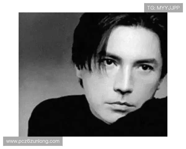 尊龙下载多平台支持，满足不同设备用户的多样需求