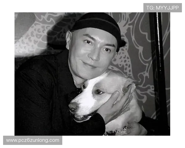 尊龙用现金玩一下：明星用现金娱乐的背后故事与趣闻