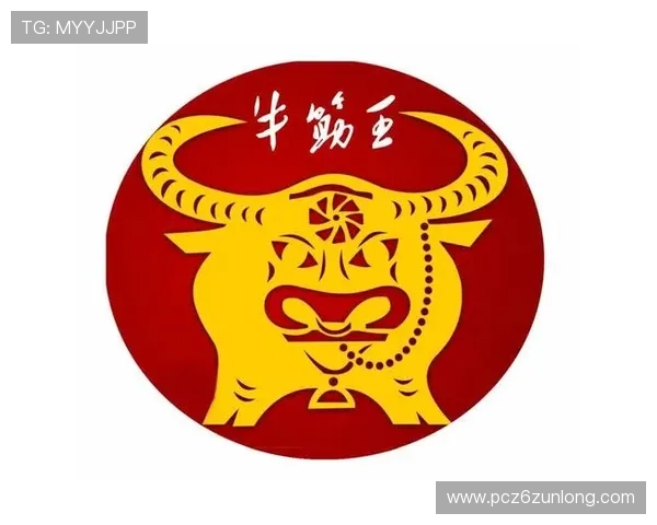 尊龙凯时首页app安全保障措施，确保玩家个人信息与资金安全，放心畅玩每一场比赛