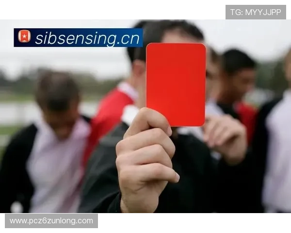 尊龙体育直播平台的多设备支持,让你随时随地畅享体育盛事 尊龙体育直播平台的多设备支持,让你随时随地畅享体育盛事