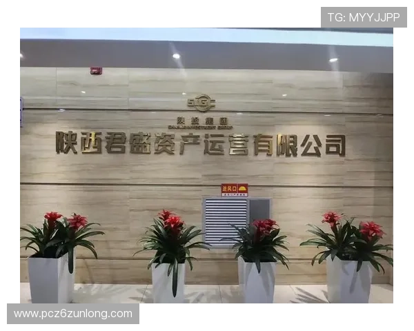 尊龙网址集团官网首页官方平台最新版本下载与使用指南